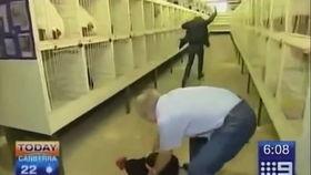 新闻采访爆料搞笑视频,笑料百出!新闻采访爆料搞笑视频幕后花絮大揭秘 第1张 新闻采访爆料搞笑视频,笑料百出!新闻采访爆料搞笑视频幕后花絮大揭秘 第1张